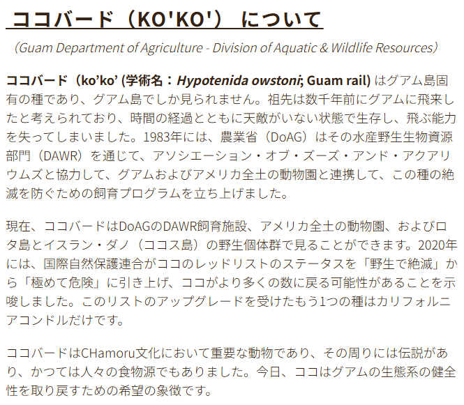 【2026年版】グアムココロードレースの魅力と参加ガイド