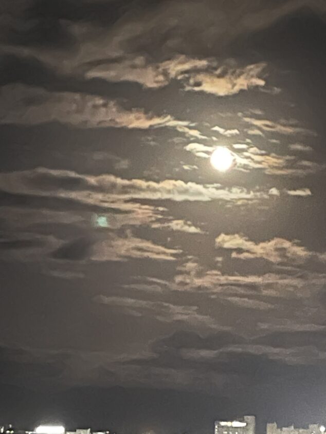 ホンダ モンキー125で行く東北ソロツーリング（2025年秋版）